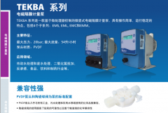 TEKBA系列電磁隔膜計(jì)量泵